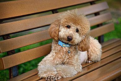 知名主播徐静雨力挺《明末》：未来类魂游戏的标杆